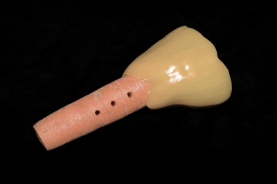 Ophicl�ide_Magasin_musique_R�paration_instruments_vent_Mulhouse_Vienna_Vegetable_Orchestra