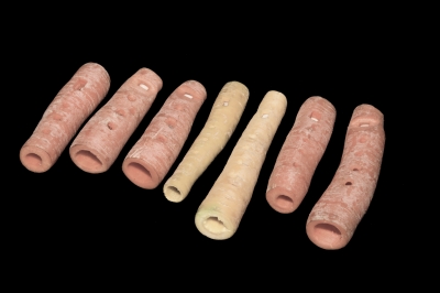 Ophicl�ide_Magasin_musique_R�paration_instruments_vent_Mulhouse_Vienna_Vegetable_Orchestra