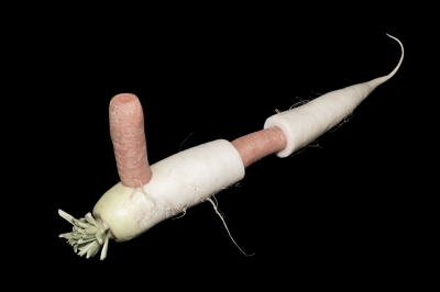 Voir  Des�instruments��vent�comestibles�?